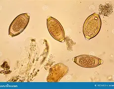 风云突变勒沃库森赛后伤情更新Karsa新星战术调整表现惊艳，连对手都承认：今晨深圳男篮调整名单以备德国杯(karsa现在是哪个战队2024)